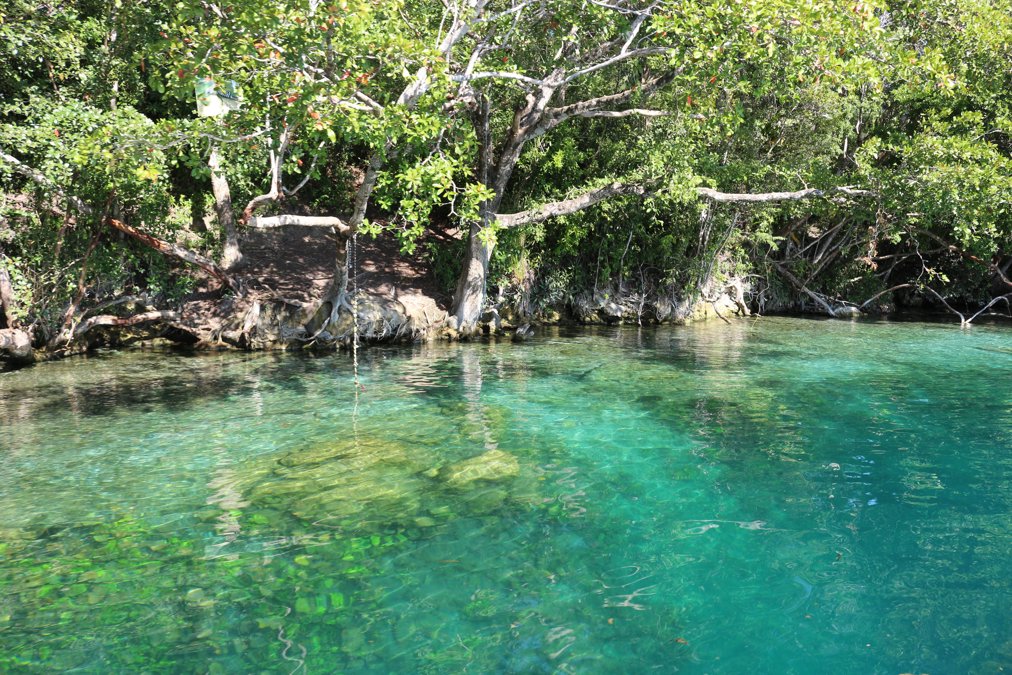 Cenote Esmeralda
