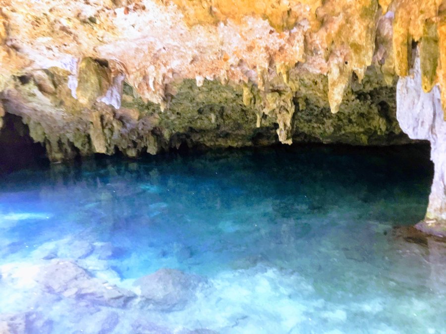 Cenote Los monos
