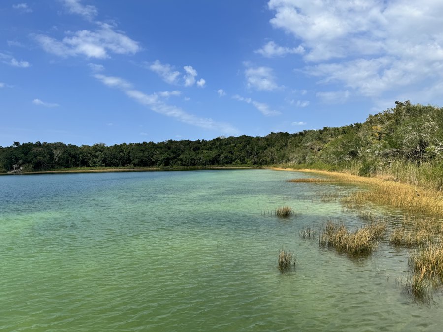 Cenote Punta Laguna