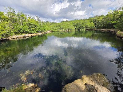 Cenote Aerolito de Paraíso