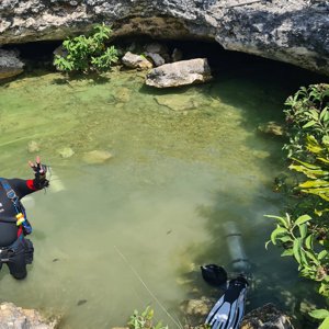 Cenote Caterpillar