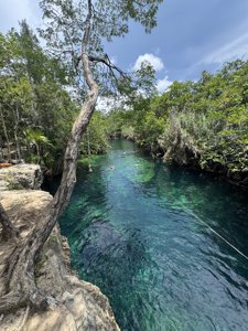 Cenote El Coquito