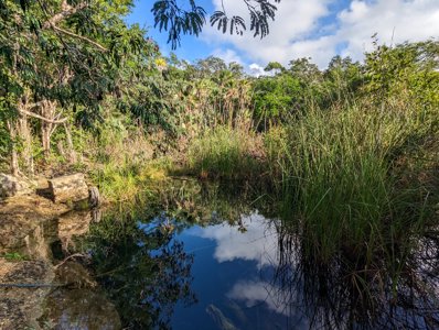 Cenote Vaca Ha