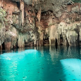 Cenote y restaurante Tsukán Santuario de vida